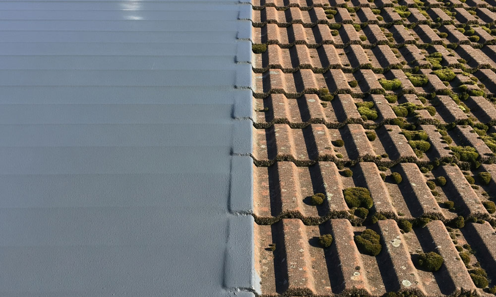 revitalised appearance